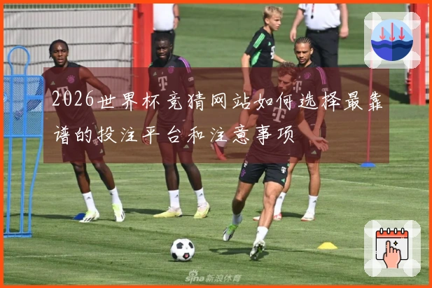 2026世界杯竞猜网站如何选择最靠谱的投注平台和注意事项