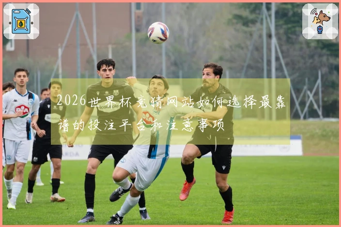 2026世界杯竞猜网站如何选择最靠谱的投注平台和注意事项
