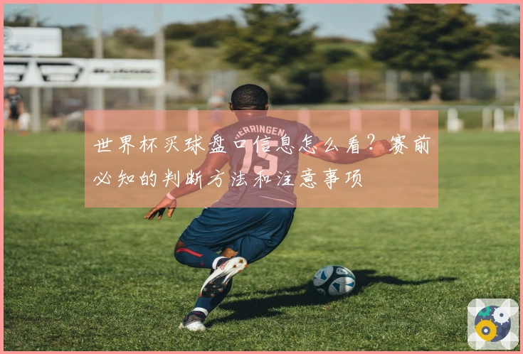 世界杯买球盘口信息怎么看？赛前必知的判断方法和注意事项